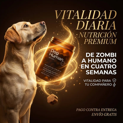 Dog Human Multivitamínico 5 - en - 1 Para perros que necesitan más años de vida saludable | Mejoras visibles en 1 - 2 semanas - IMPERIUM