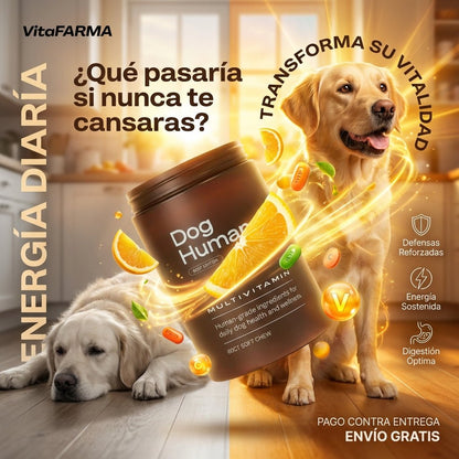 Dog Human Multivitamínico 5 - en - 1 Para perros que necesitan más años de vida saludable | Mejoras visibles en 1 - 2 semanas - IMPERIUM