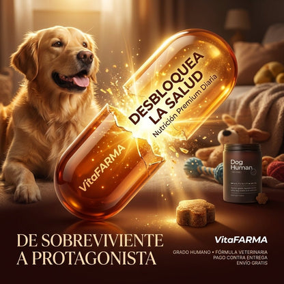 Dog Human Multivitamínico 5 - en - 1 Para perros que necesitan más años de vida saludable | Mejoras visibles en 1 - 2 semanas - IMPERIUM